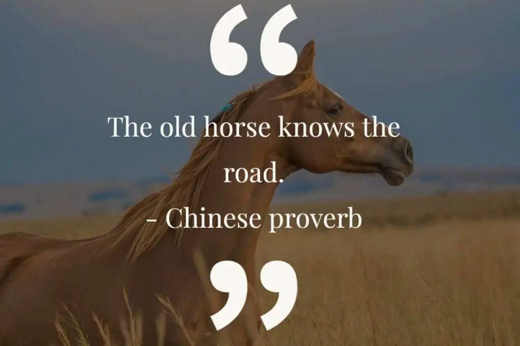 Chinese proverbs