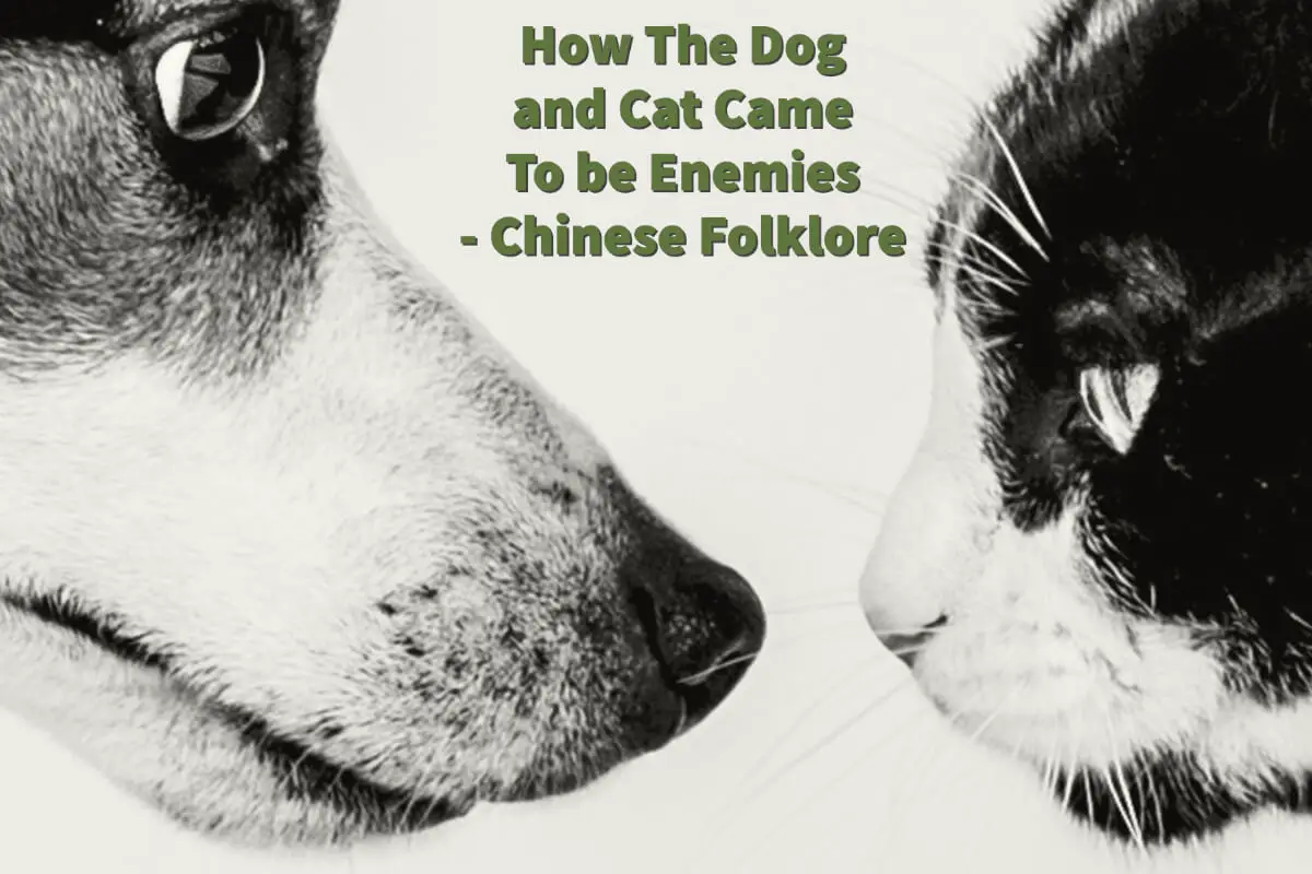 How The Dog and Cat Came To be Enemies – Gleanings From Chinese Folklore